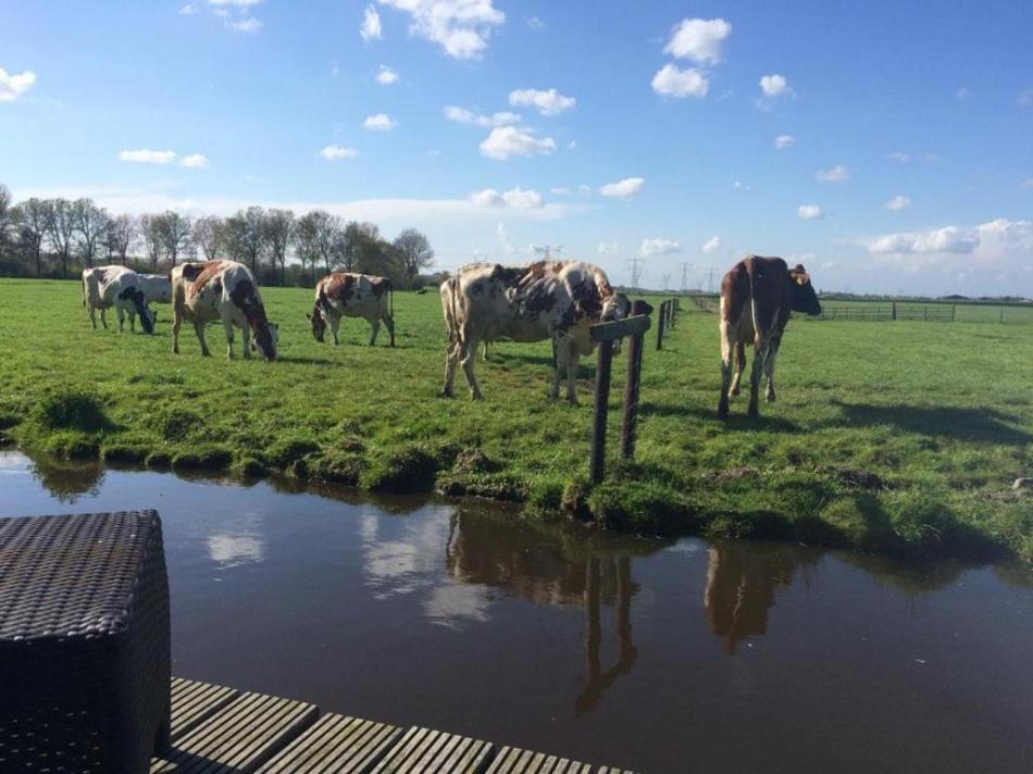 Waterlands Genoegen Couette-café